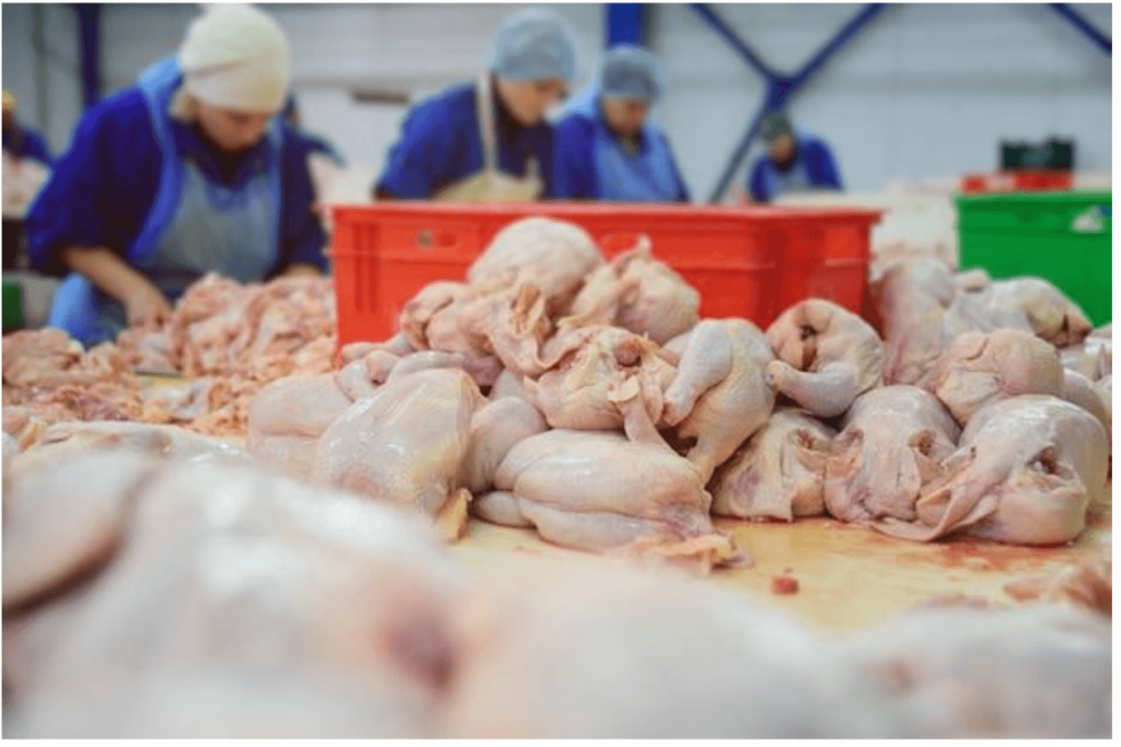 Tingkatkan Kepercayaan Konsumen, RPU Poultry Shop Kantongi Sertifikat Halal