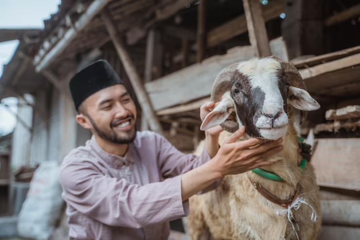 Bolehkah Kurban Online? Umat Muslim Wajib Tahu Hukumnya